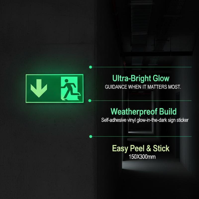 1 Sheet Glow-In-The-Dark Safet - Emergency Exit Sign recension och pris